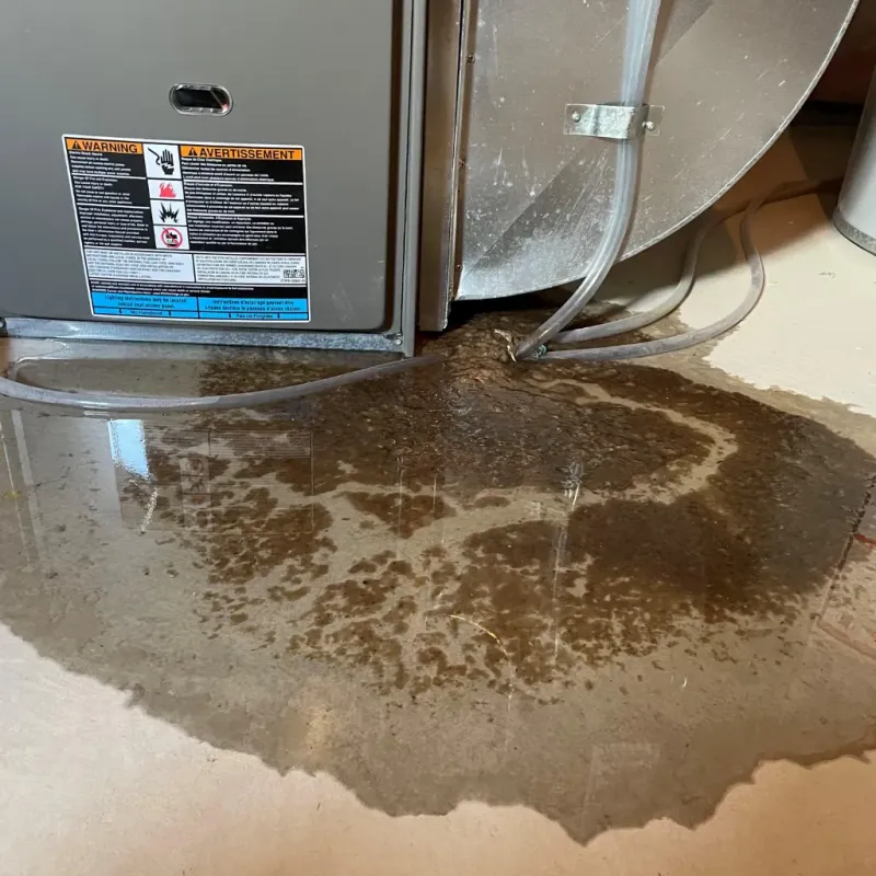 Appliance Leak Cleanup in Belvedere Park, GA